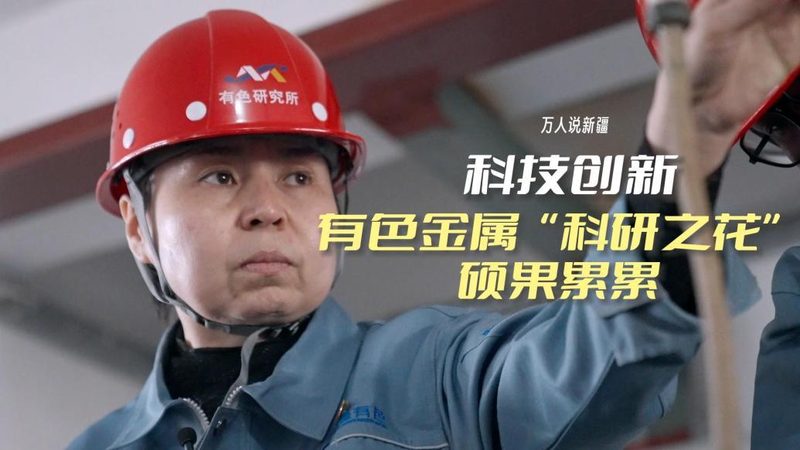 人工智能应用工具：揭秘批发价格背后的价值**